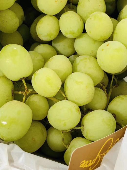 甜地球  脆甜 就是深水炸弹一样~青提中的上品【9斤】 商品图0