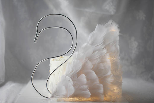 女士款 优雅白天鹅 商品图2