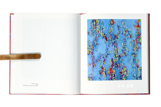 Andrea Bischof: Color Truth / 安德里亚·比斯科夫：颜色的真相 商品图4