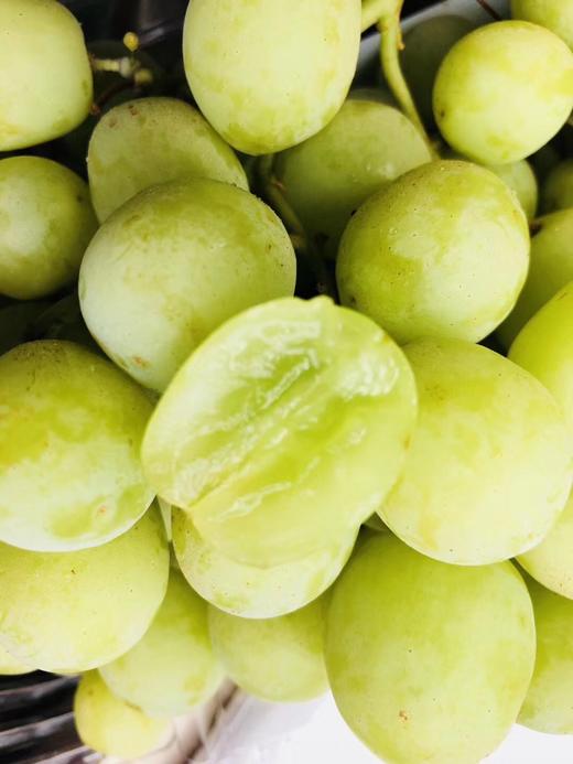 甜地球  脆甜 就是深水炸弹一样~青提中的上品【9斤】 商品图1