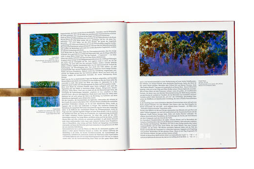 Andrea Bischof: Color Truth / 安德里亚·比斯科夫：颜色的真相 商品图3