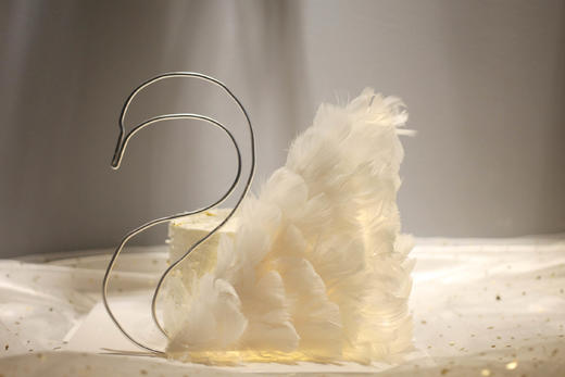 女士款 优雅白天鹅 商品图1