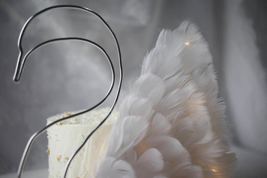 女士款 优雅白天鹅 商品图3