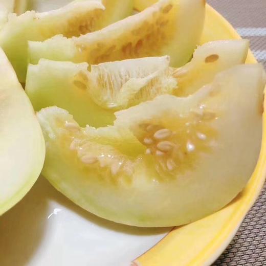 马连庄甜瓜  瓜果之乡的特产 小时光的味道 商品图0