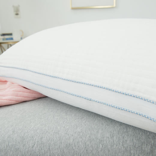 优享大豆面包枕   99元包邮 商品图3