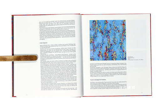 Andrea Bischof: Color Truth / 安德里亚·比斯科夫：颜色的真相 商品图2