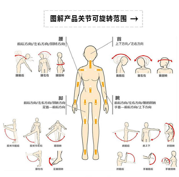 热巴 性感叫床巅峰巨乳拟真实体娃娃 158cm [货号:3058]