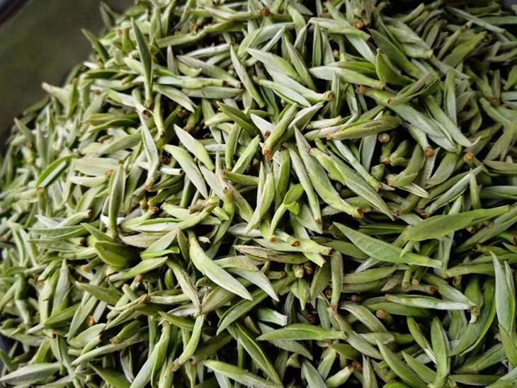 茶香记 大白茶白毫银针2019年 福鼎大白茶 白毫银针 满披白毫 花香 毫