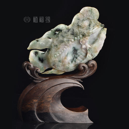 【富贵有余】紫+绿皇帝鱼  BJ402035 商品图3