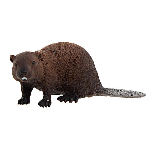 思乐海狸14693 商品图0