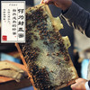 一级熟蜜罐装封盖蜜 蜂蜜 天然无污染 485g/罐 商品缩略图3
