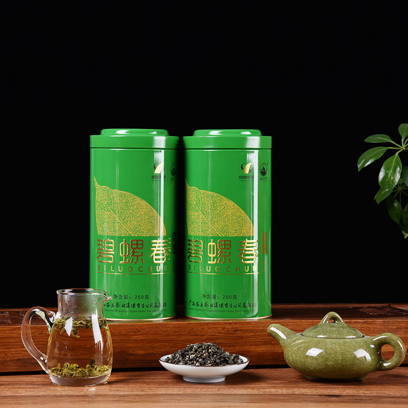 大明山 广西农垦茶叶 一级碧螺春 绿茶礼盒装 250g/盒*2