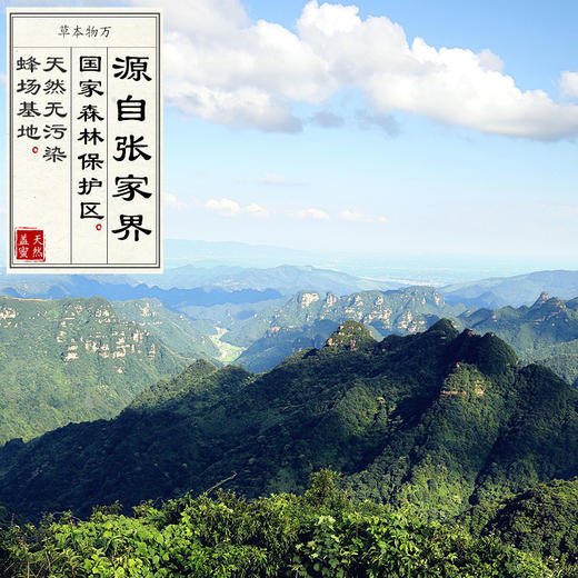 一级熟蜜罐装封盖蜜 蜂蜜 天然无污染 485g/罐 商品图4