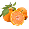 包邮【厂商直发】四川浦江有机不知火丑橘 中大果5斤/8斤 甜蜜多汁 商品缩略图5