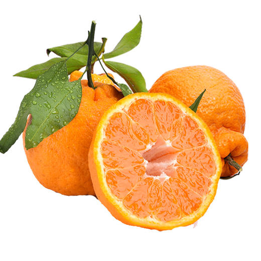 包邮【厂商直发】四川浦江有机不知火丑橘 中大果5斤/8斤 甜蜜多汁 商品图5