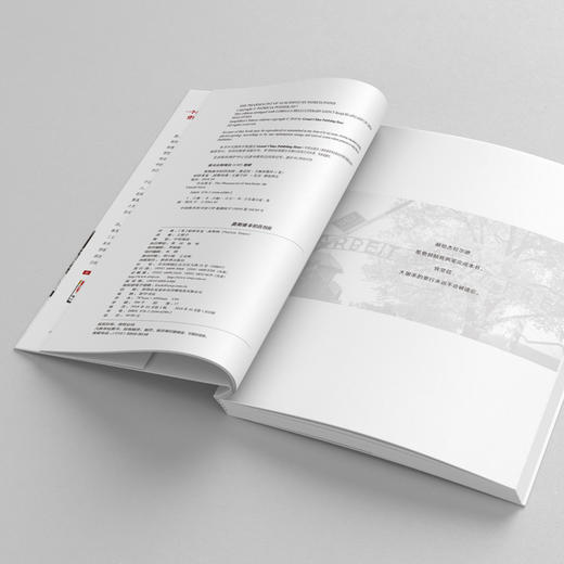 奥斯维辛的药剂师: 维克托·卡佩休斯传 商品图3