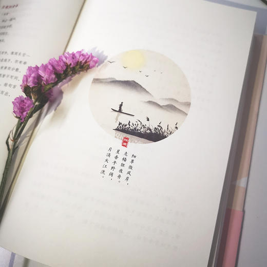 人生自有境界：俞陛云诗词赏鉴系列 （词境浅说+ 诗境浅说 ） 商品图7