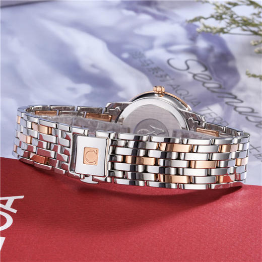 欧米茄 OMEGA 蝶飞系列女士石英腕表 424.20.27.60.52.003 商品图4