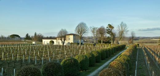 瓦兰德鲁庄园干红圣爱美浓A级B等车库酒2014 Chateau de Valandraud, Saint-Emilion Grand Cru, France 商品图2