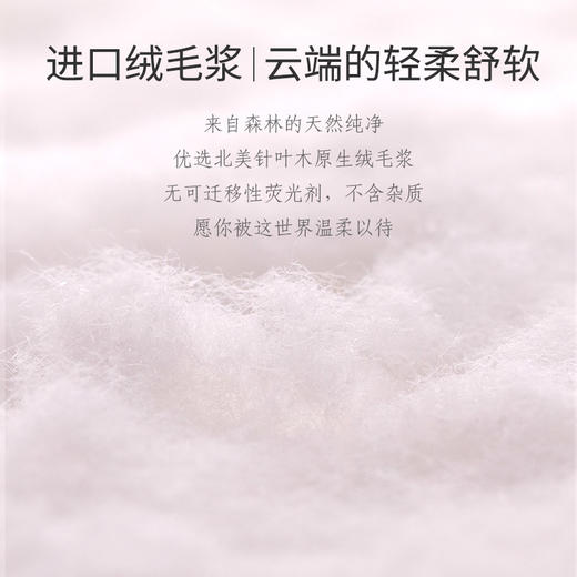 [KL] M码 | 开丽-U选产妇卫生巾 商品图2