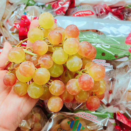 🔥爆品特好吃😋～荔枝香葡萄！[色]自带浓郁的玫瑰花瓣、水蜜桃和荔枝等香味，很香的葡萄🍇特别甜，汁多。最新到货 商品图6