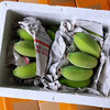 广西苹果蕉香蕉当季新鲜水果苹果粉香蕉现摘5斤装包邮 商品缩略图10