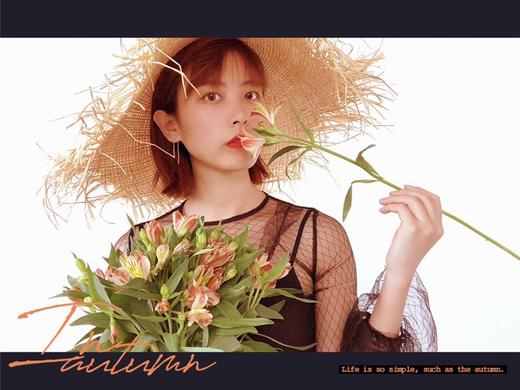 【AB级橙色水仙百合】10支/份 商品图4