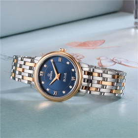 欧米茄 OMEGA 蝶飞系列女士石英腕表 424.20.27.60.53.001