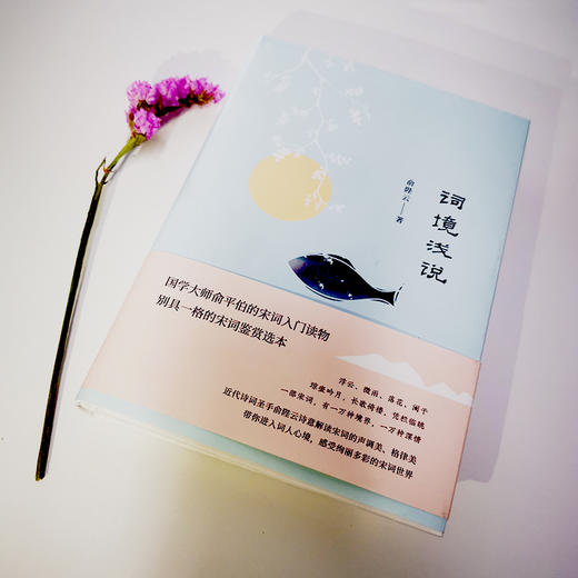 人生自有境界：俞陛云诗词赏鉴系列 （词境浅说+ 诗境浅说 ） 商品图5