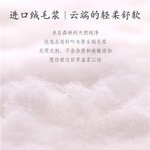 [KL] L码 | 开丽-U选产妇卫生巾裤型 商品图3