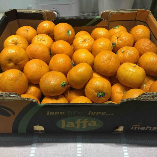 以色列柑橘 甘甜可口 经济实惠 2kg/份