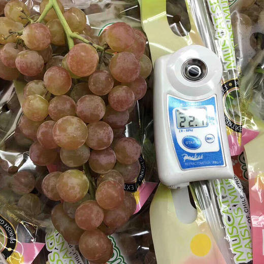 🔥爆品特好吃😋～荔枝香葡萄！[色]自带浓郁的玫瑰花瓣、水蜜桃和荔枝等香味，很香的葡萄🍇特别甜，汁多。最新到货 商品图7