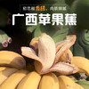 广西苹果蕉香蕉当季新鲜水果苹果粉香蕉现摘5斤装包邮 商品缩略图0