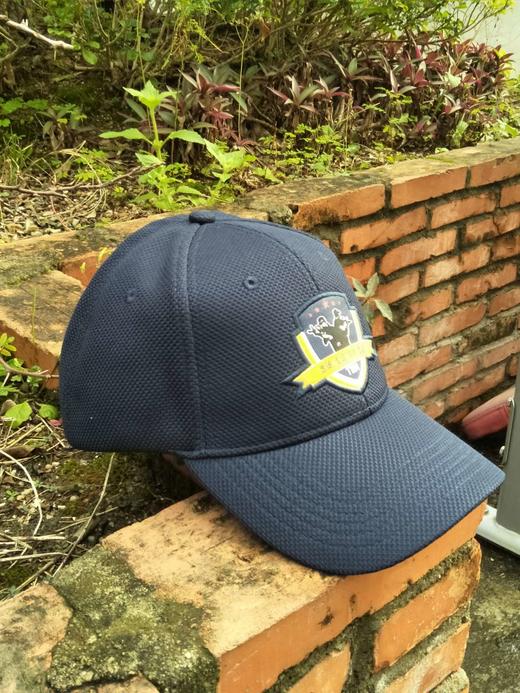 蓝色网布帽-作训徽章 商品图2