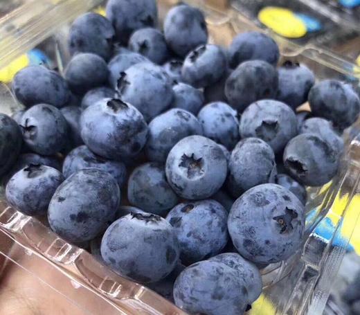 【Driscoll限量版蓝莓王】满口都是花香味 啵啵脆甜 ，超大颗。 商品图2