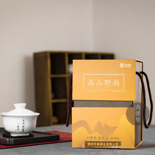 中茶六堡茶 2014年 高山野韵（2019年包装出厂，600g/盒） 商品图3