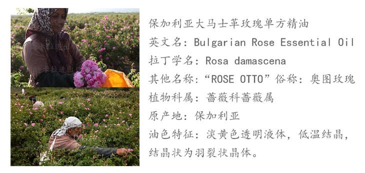 【精油】保加利亚大马士革奥图玫瑰精油 rose otto蒸馏 突厥蔷薇