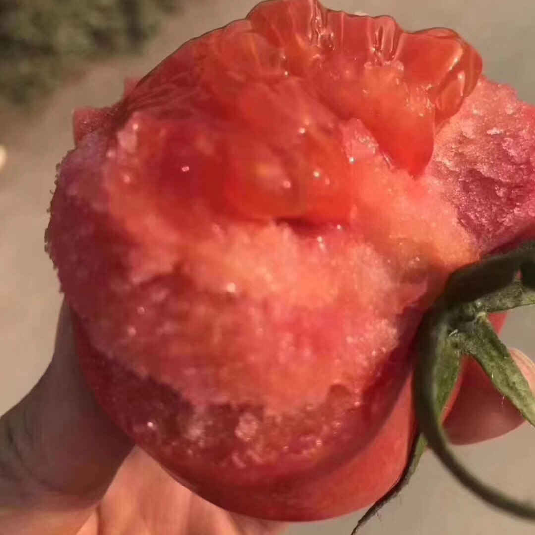 【新鲜普罗旺斯西红柿🍅】经典中的经典，自然熟🌿，皮薄沙瓤😋，番茄味儿浓郁，水分多💦，沙沙糯糯，低卡减肥果。