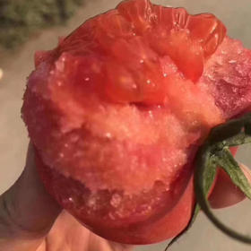 【新鲜普罗旺斯西红柿🍅】经典中的经典，自然熟🌿，皮薄沙瓤😋，番茄味儿浓郁，水分多💦，沙沙糯糯，低卡减肥果。