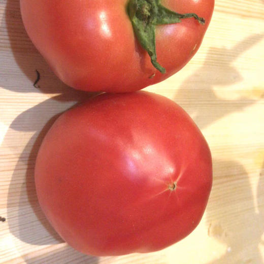 【新鲜普罗旺斯西红柿🍅】经典中的经典，自然熟🌿，皮薄沙瓤😋，番茄味儿浓郁，水分多💦，沙沙糯糯，低卡减肥果。 商品图1