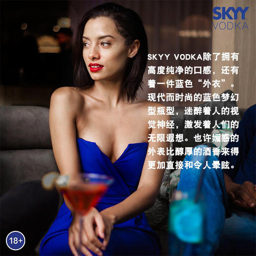 深蓝（Skyy）伏特加 蓝天伏特加 烈酒 鸡尾酒 基酒 原味 750ml单瓶 商品图2