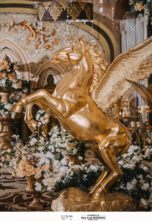 【特价】腾空飞马【运费自理】 商品图3