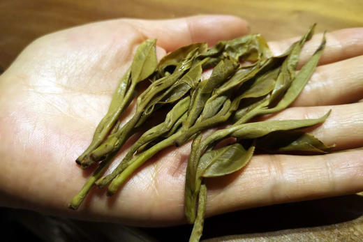 【老班章·茶王之霸气】2019古树春茶品鉴装（8g）香高苦重回甘猛 商品图1