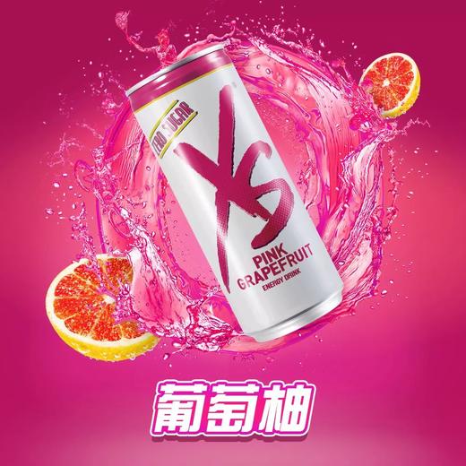XS饮料(多口味)250mlx6罐每包/ 人参/0食糖/牛磺酸 商品图10