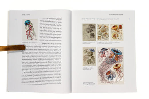 Art Forms from the Abyss: Ernst Haeckel's Images from the HMS Challenger Expedition/来自深渊的艺术形式 商品图4