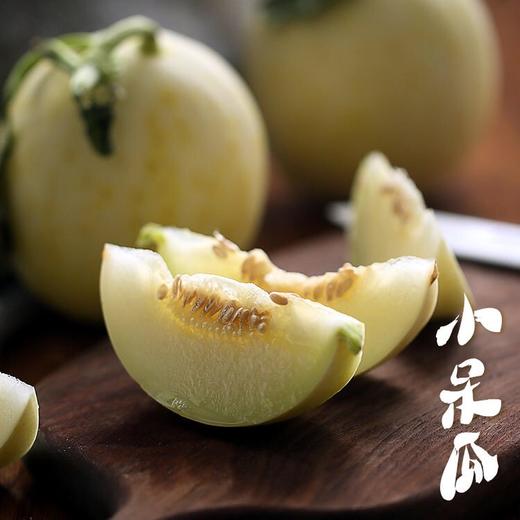下单后2天内发货首批尝鲜美农严选小呆瓜陕西阎良甜瓜5斤左右限量预售
