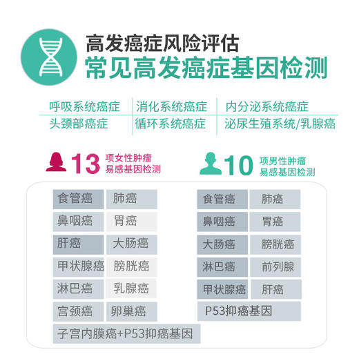 心脑检测  基因套餐 商品图2