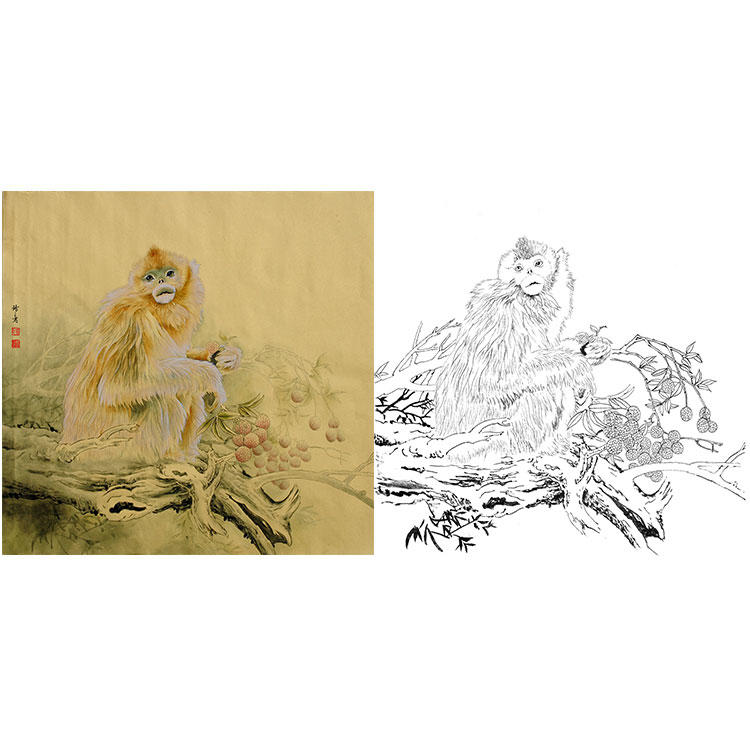 工笔动物白描底稿-孙锡之作品十二生肖-猴-斗方小品册页-sy09