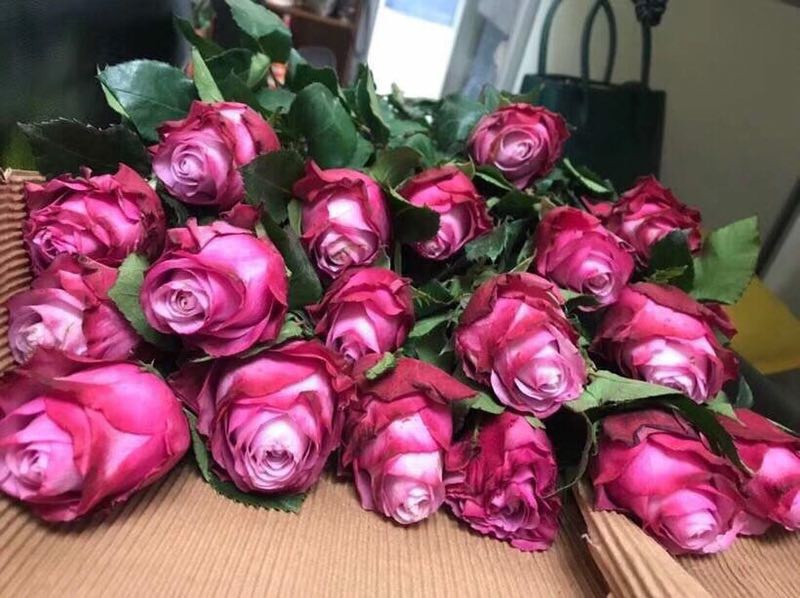 20团购】『魅影玫瑰/粉色佳人/冷美人/白百合』上线,春天来了,要美