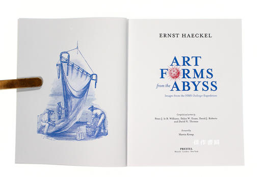 Art Forms from the Abyss: Ernst Haeckel's Images from the HMS Challenger Expedition/来自深渊的艺术形式 商品图2